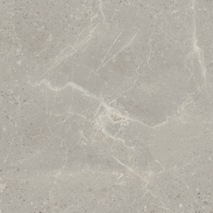 Monza Storm (Matte) (12×24 & 24×48)