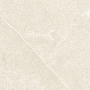 Motley Litos (Matte) (24×48)