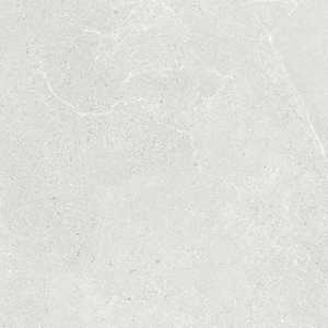 Motley Leucos (Matte) (24×48)