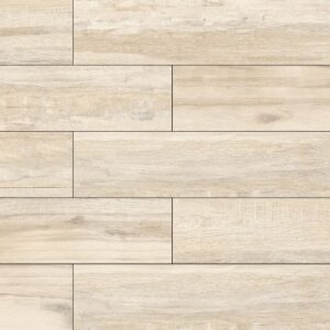 Flagstaff (8×40) #1 (Coming Soon)