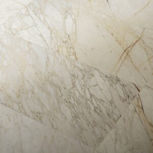 Calacatta Dorato Silk (24×48)